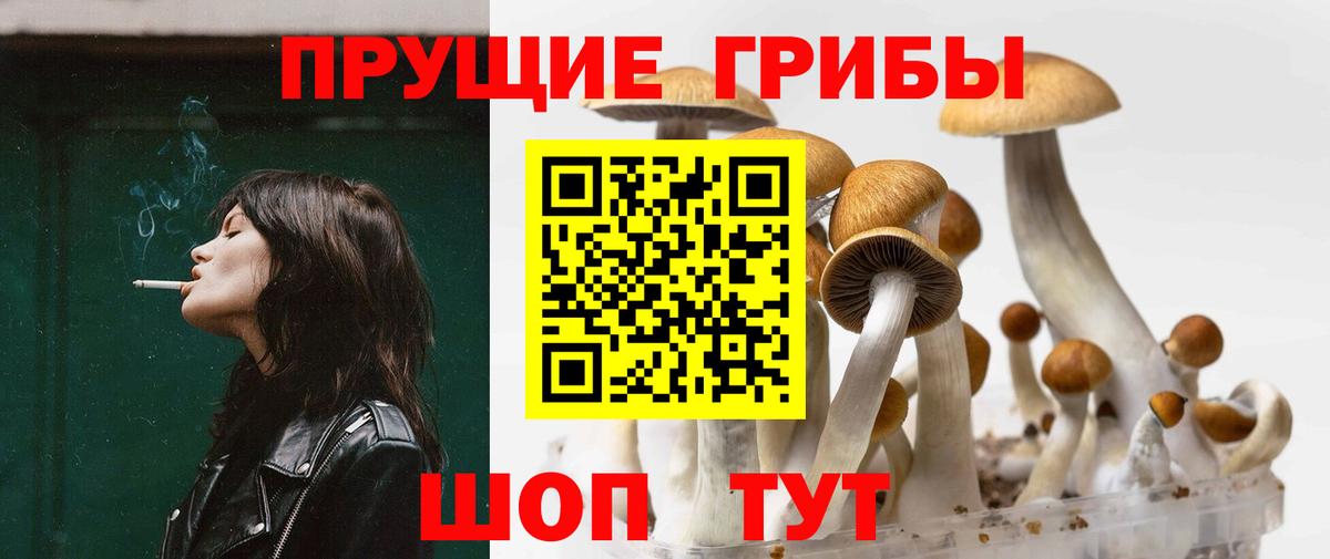 Псилоцибиновые грибы Magic Shrooms  Вход с VPN  Солнечногорск  Псилоцибиновые грибы GOLDEN TEACHER 
